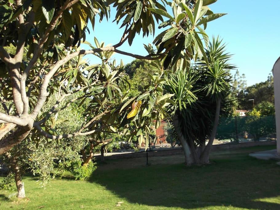 Villa Gabriella Villa San Pietro المظهر الخارجي الصورة